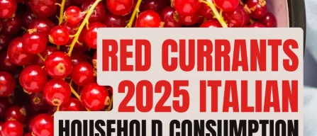 Currants in Italy 2025: buyer numbers and volumes are recovering, but purchasing intensity remains low-image