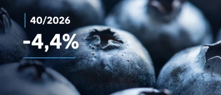 Global blueberry price index rises 1% in week 40 of 2026 as premium falls and standard gains-image