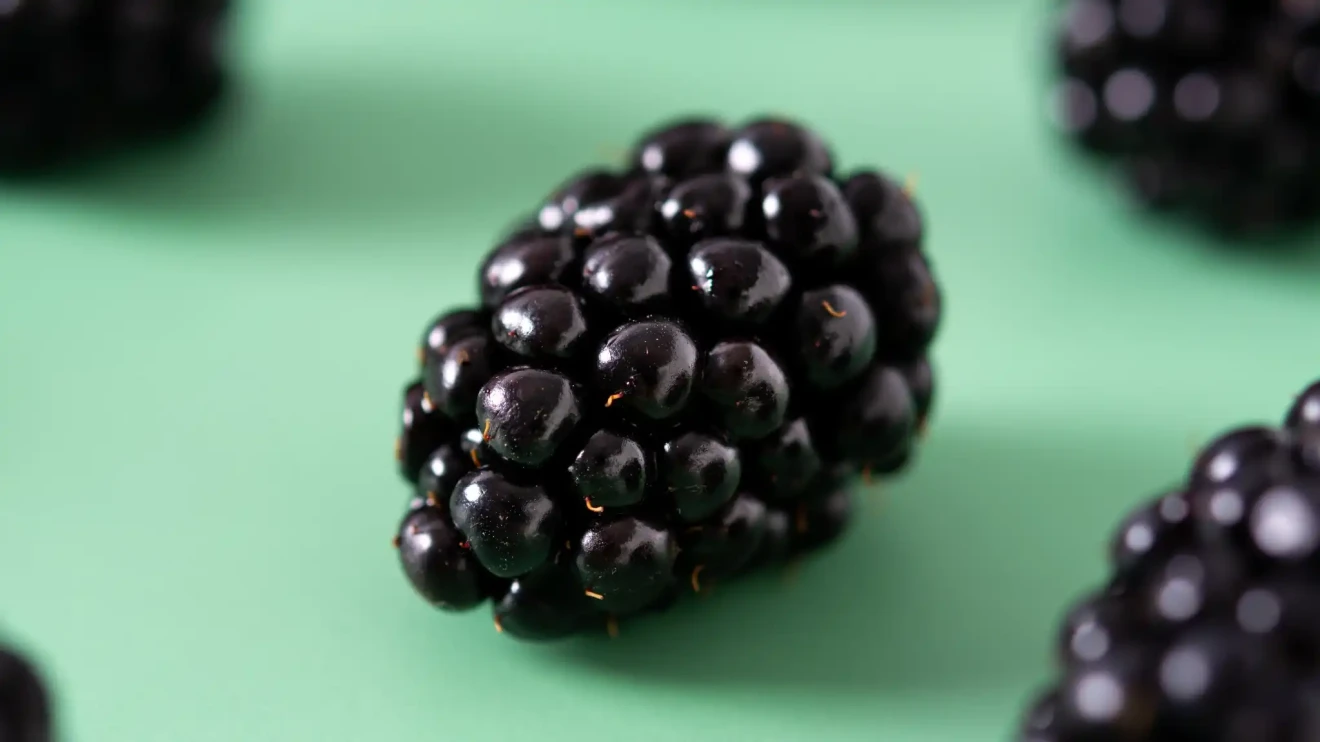 Berries’ rising stars? How quality can bring blackberries back -image