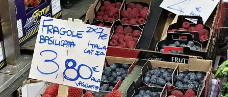 Ribes da Olanda e Italia fino a 30 euro il chilo sui mercati all'ingrosso italiani-image