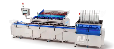 Azcaval: innovazione green per il packing frutta globale-image