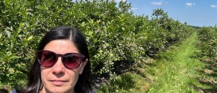 The ideal time for harvesting: new challenges for blueberries-image