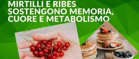 Frutti di bosco e salute: mirtilli e ribes sostengono memoria, cuore e metabolismo-image