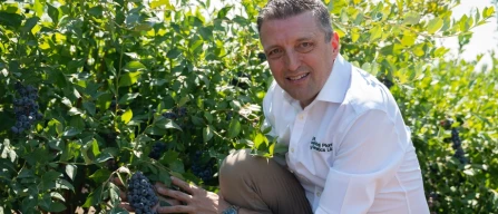 New Oregon Blueberry varieties: interview to Jamie Petchell (GPG)-image