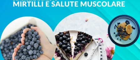 Mirtilli e salute muscolare: la dieta arricchita che può sostenere la rigenerazione cellulare-image