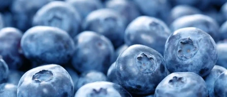 UV-C for blueberries: residue-free SO₂ alternative in South Africa-image