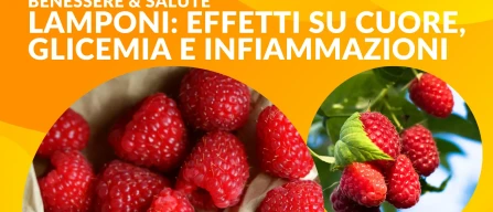 Lamponi: effetti su cuore, glicemia e infiammazioni-image