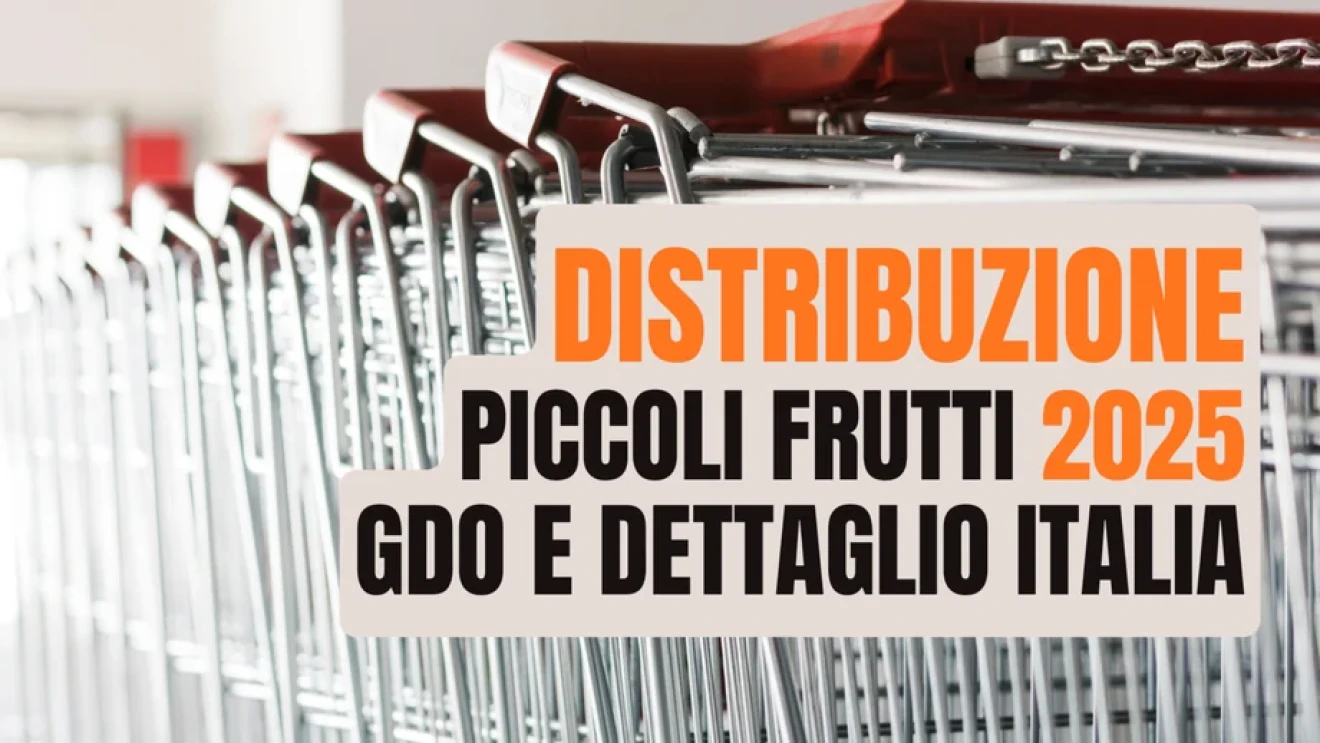 Piccoli frutti: gli italiani preferiscono supermercati e discount-image