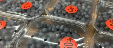 Ukraine blueberry prices hit new lows amid poor yields-image