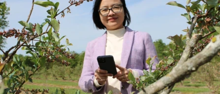 Blueberries: AI steps in – harvesting becomes more precise in North Carolina-image