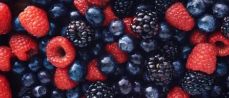 Sfide e opportunità dei piccoli frutti in Marocco-image