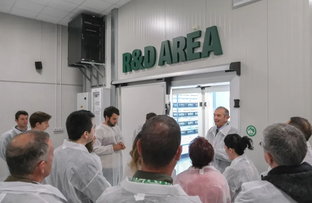 Berry Revolution: Battistini Vivai's preview at the Berry Area of Macfrut-image