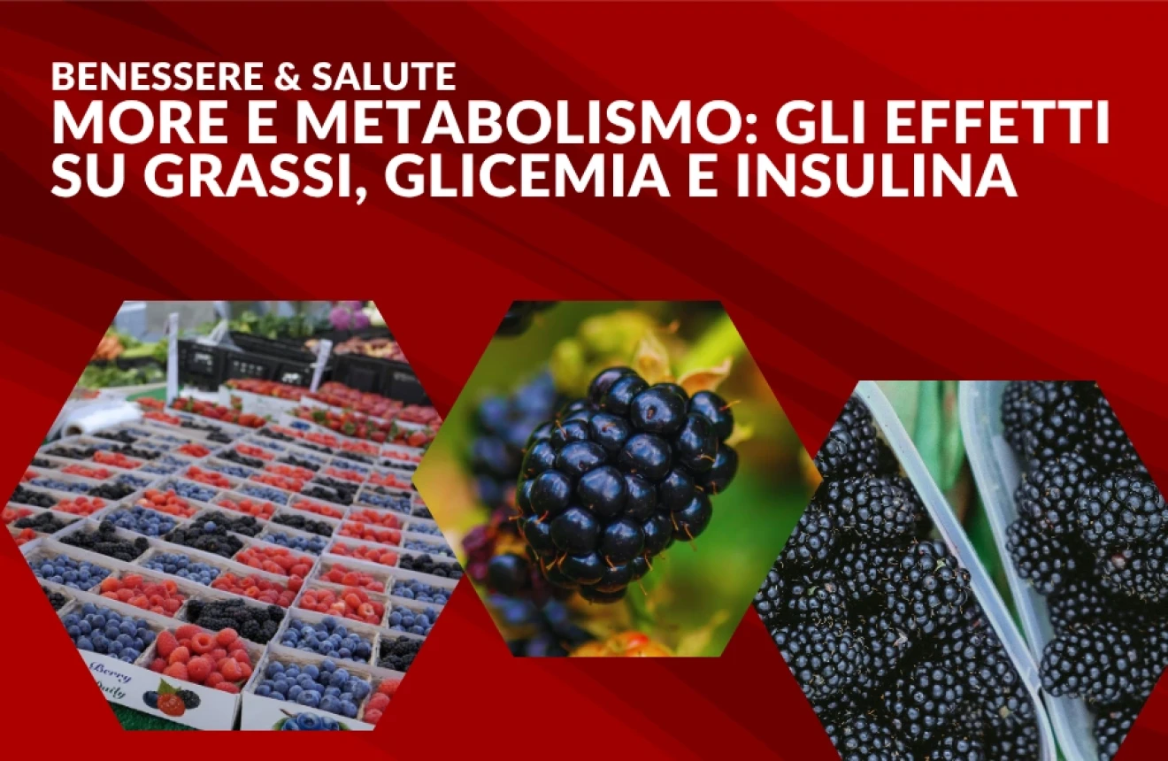 More e metabolismo: cosa succede davvero a grassi, glicemia e sensibilità insulinica-image