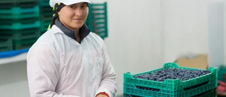 Ecuador and Colombia are the new frontier for year-round blueberries-image