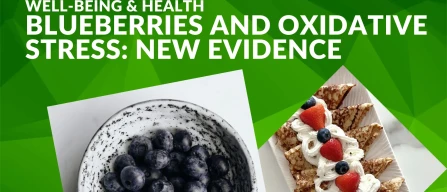 Blueberries and oxidative stress: new evidence on immune role-image