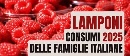 Mercato dei lamponi in Italia 2025: più compratori, volumi in ripresa e valore record-image