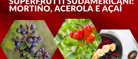 Superfrutti sudamericani: mortiño, acerola e açaí-image