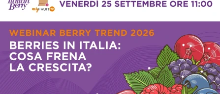 Berry Trend 2026: three questions about growth in Italy’s berry market-image