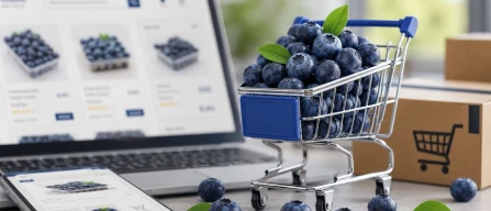 Global blueberry prices up 4%: the premium rises sharply in week 28 of 2026-image