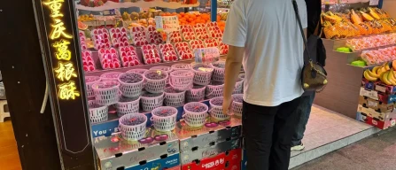 The future of blueberries also runs through Nanjing-image