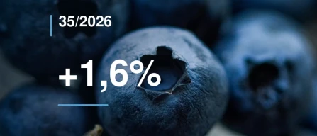 Global blueberry price index rises by 1.6% in week 35 of 2026 as organic segment jumps 8.23%-image