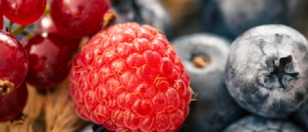 Piccoli frutti in GDO online Italia: prezzi in lieve aumento nella settimana 6/2026, more stabili-image