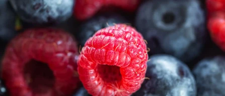 What’s happening to berry prices in Italian online retail? Data from week 4/2026-image