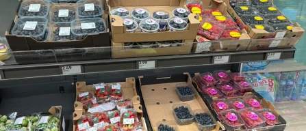 Piccoli frutti a Modena, offerta limitata nella Gdo: mirtilli di qualità e rotazioni lente-image