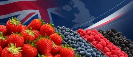 UK: strawberries on top of the fresh produce aisle-image