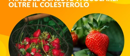 Fragole e salute vascolare: lo studio che guarda oltre il colesterolo-image