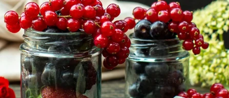 British Berry Growers: nine years of growth and an industry worth over £600 million-image