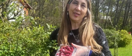 From corn to raspberries: Yeny’s story and the “Santa” varieties transforming Chile’s Araucanía and rural livelihoods-image