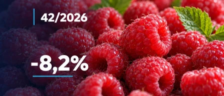 Italian e-commerce: berry prices fall 3.6% in week 42 of 2026, raspberries lead declines-image