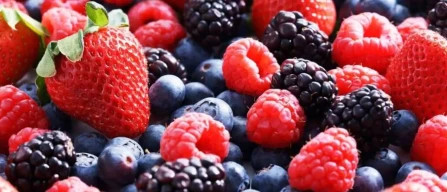 Huelva boosts berry crops: in 2026 more hectares for strawberries and other berries cultivation-image