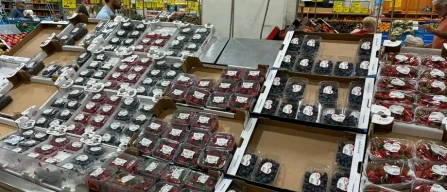 Piccoli frutti a Padova: mirtilli abbondanti, prezzi bassi e promo nella GDO veneta a maggio-image