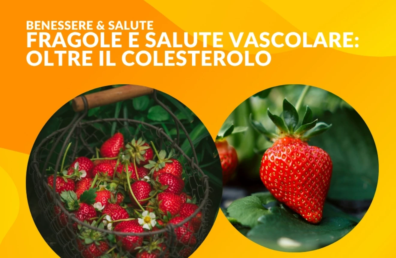 Fragole e salute vascolare: lo studio che guarda oltre il colesterolo-image