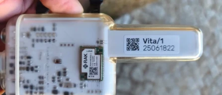 Ascoltare le piante di piccoli frutti: i segnali elettrici possono rilevare lo stress prima che appaiano i sintomi?-image