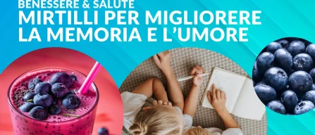 Benefici cognitivi dei mirtilli: come i frutti di bosco migliorano memoria e umore in bambini e anziani-image