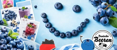 Germania, al via la stagione del mirtillo con appello a retail e politica-image