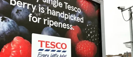 Tesco and Sainsbury's push down the blueberry price index-image