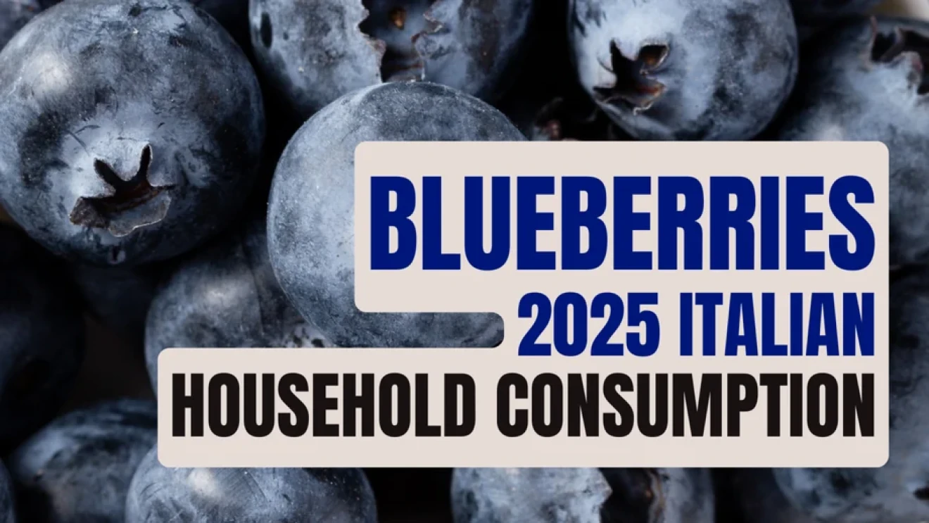 Blueberries in Italy 2025: more even consumption between North and South, wider reach across segments-image