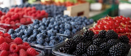 Piccoli frutti in Italia: prezzi GDO in rialzo nella settimana 25/2026 trainati dai mirtilli-image