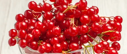 Redcurrants down 15% in italian online retail stores during week 28/2025-image
