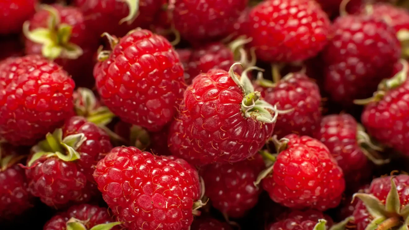 Berries in Italian e-commerce: -3.7% for raspberries in week 19/2025-image