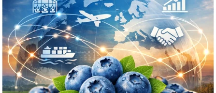 Italian Berry rafforza il dialogo internazionale per i piccoli frutti italiani-image