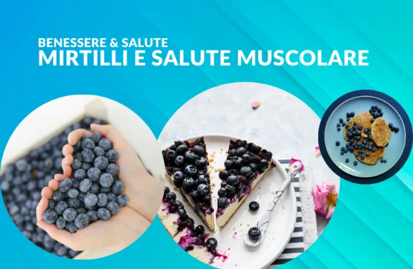 Mirtilli e salute muscolare: la dieta arricchita che può sostenere la rigenerazione cellulare-image