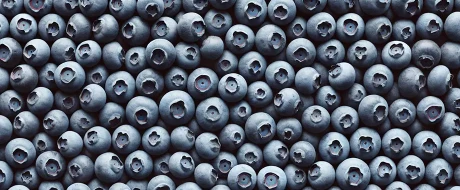 Blueberries are all the same in Italy