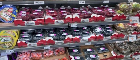 Padua berries: falling prices and uneven quality between Peruvian blueberries and Portuguese blackberries-image