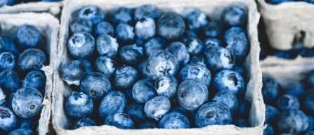 Blueberry prices continue to rise in the global retail panel in week 38/2024-image