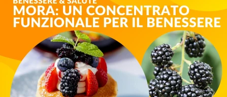 Mora: un concentrato funzionale per il benessere con antiossidanti e vitamine-image